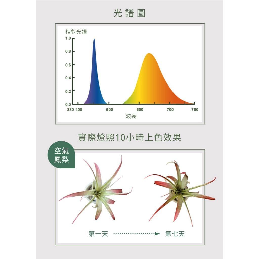 T8紅藍光譜植物燈管|Wlighting 慶達照明