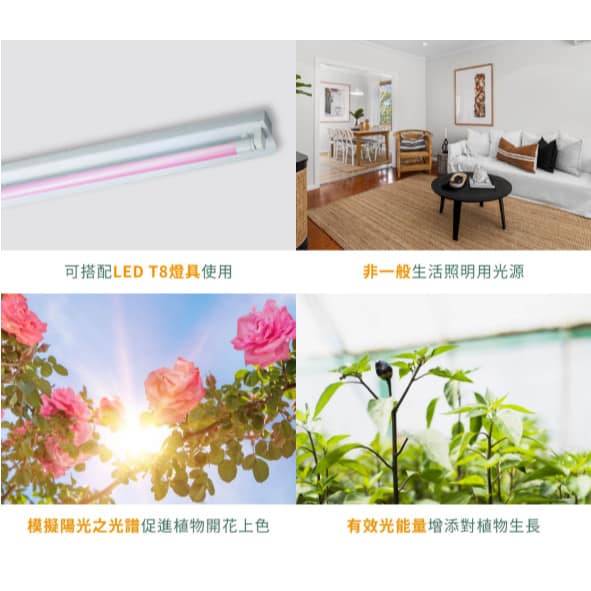 T8紅藍光譜植物燈管|Wlighting 慶達照明